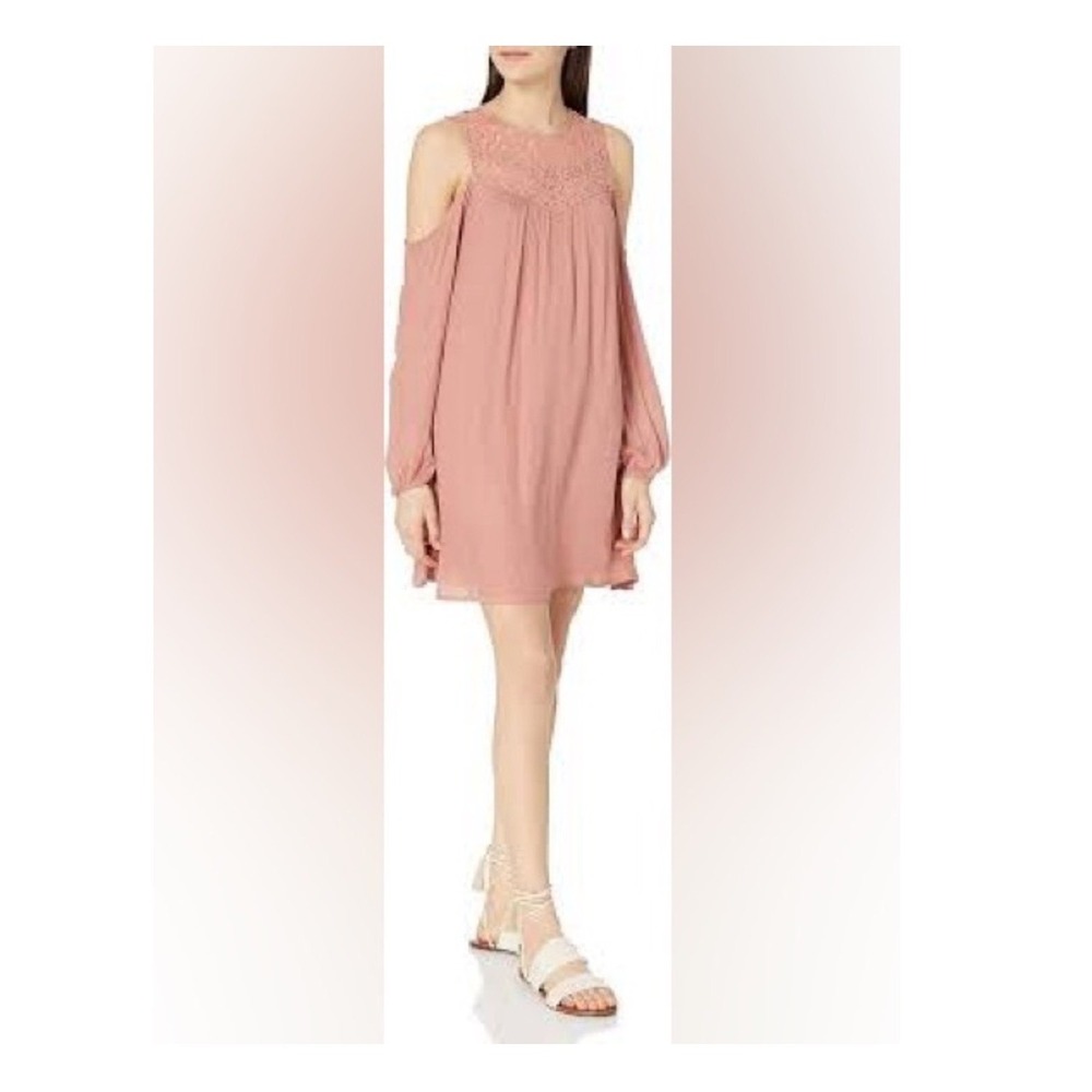 Blush Cold-Shoulder Lace Yoke Mini‎ Dress